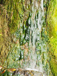 Similar image 21304293