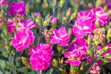 Similar image 21302336