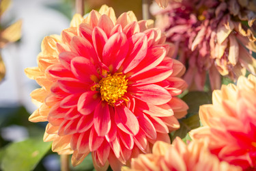 Similar image 21302337