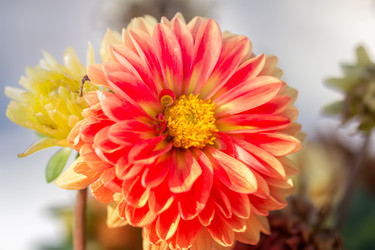 Similar image 21302338