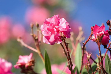 Similar image 21302340