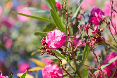 Similar image 21302341