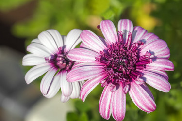 Similar image 21302343