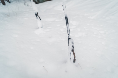 Similar image 21317504