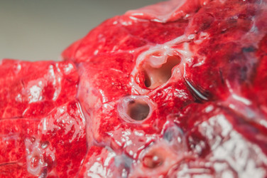 Similar image 21317505