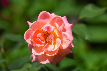 Similar image 21302279