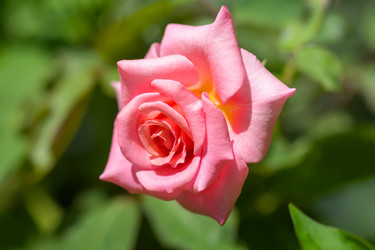 Similar image 21302280