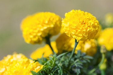 Similar image 21302282