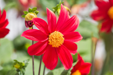 Similar image 21302284