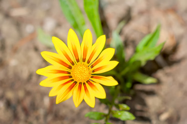 Similar image 21302344