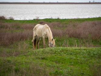 Similar image 21300762