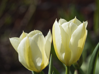 Similar image 21300765