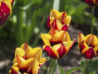 Similar image 21300766