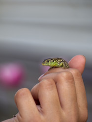 Similar image 21300768