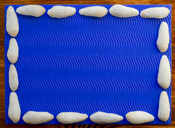 Similar image 21300769