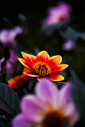 Similar image 21302195