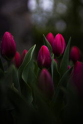 Similar image 21302197