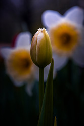 Similar image 21302198