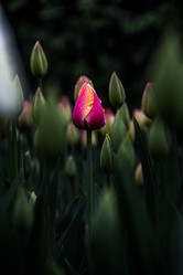 Similar image 21302199