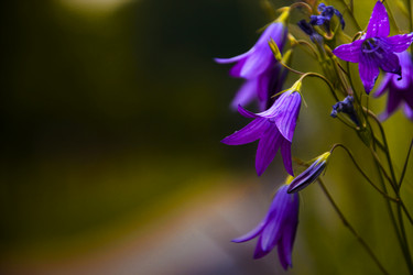 Similar image 21302204