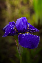 Similar image 21302206