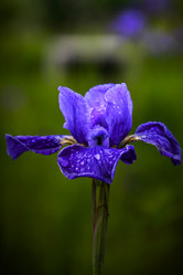 Similar image 21302207