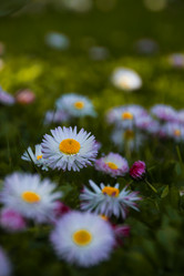 Similar image 21302208