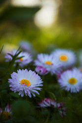 Similar image 21302209