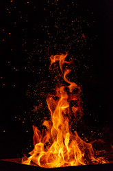 Similar image 21301985