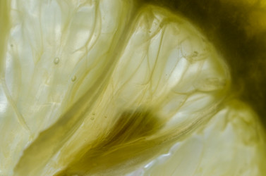 Similar image 21301988