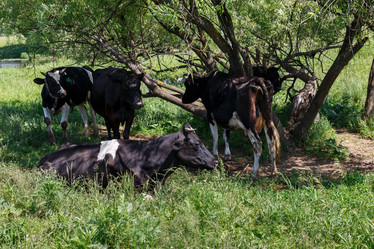 Similar image 21302780