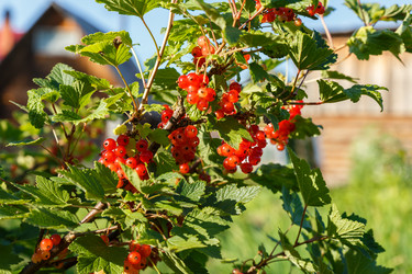 Similar image 21302783