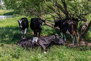 Similar image 21302784