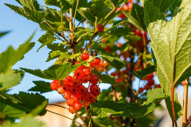 Similar image 21302788