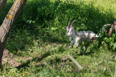 Similar image 21302795