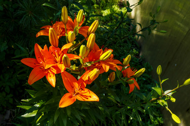 Similar image 21302802