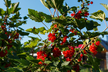 Similar image 21302806