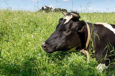 Similar image 21302807