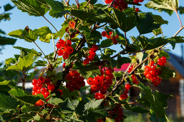 Similar image 21302808