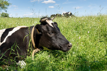 Similar image 21302809