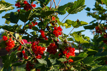 Similar image 21302810