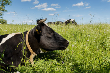 Similar image 21302811