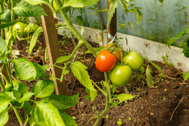 Similar image 21302814