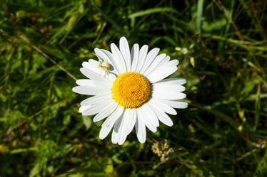 Similar image 21302824