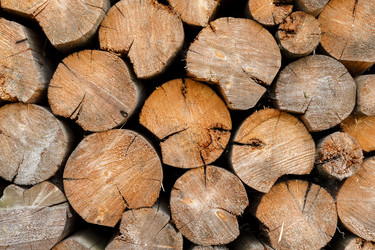 Similar image 21302829