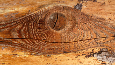 Similar image 21302837