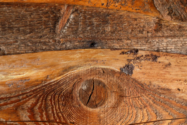 Similar image 21302839