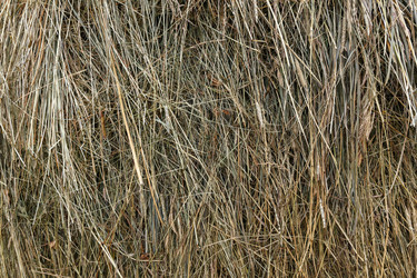 Similar image 21302843