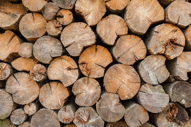 Similar image 21302851