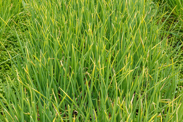 Similar image 21302852